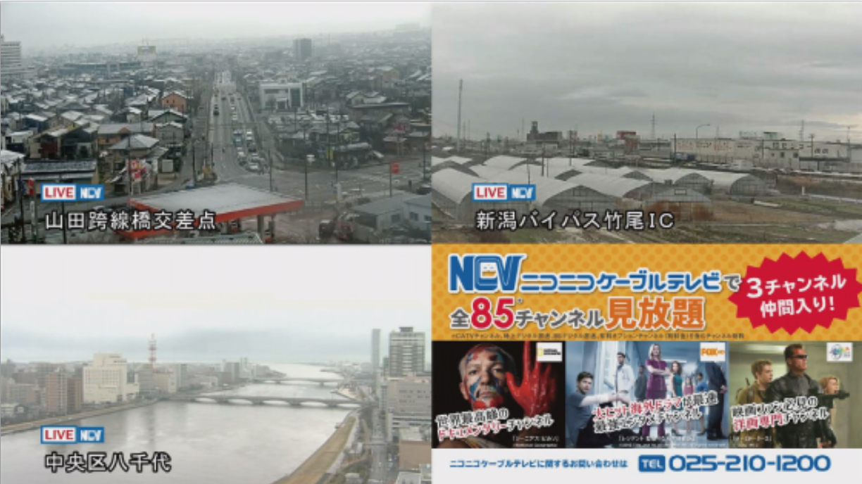 ライブカメラ放送画面